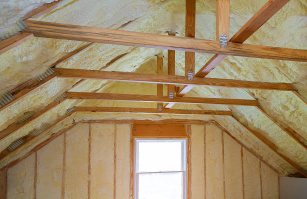 Best Spray Foam Insulation in Black Hammock, FL