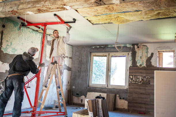 Best Geographic-Specific Insulation Services in Black Hammock, FL